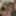 GIFs for Pro-Am scenes 196-200 #29