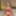 zeecutie Free Photos #4