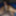 My dick in different views #5