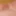 Fat Daddy Nick's close ups gallery