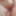 Skirt And Fishnet Hold Ups - Indie Brat #5