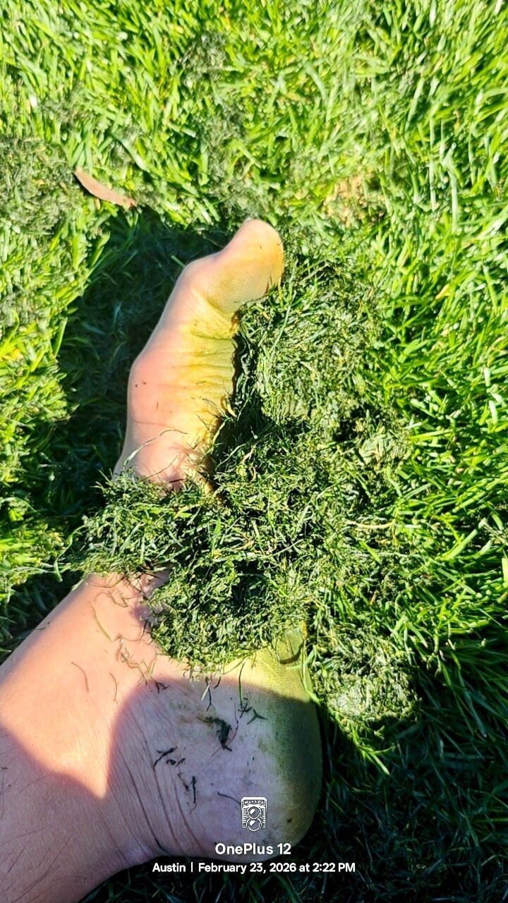 Grounding Barefeet  #12
