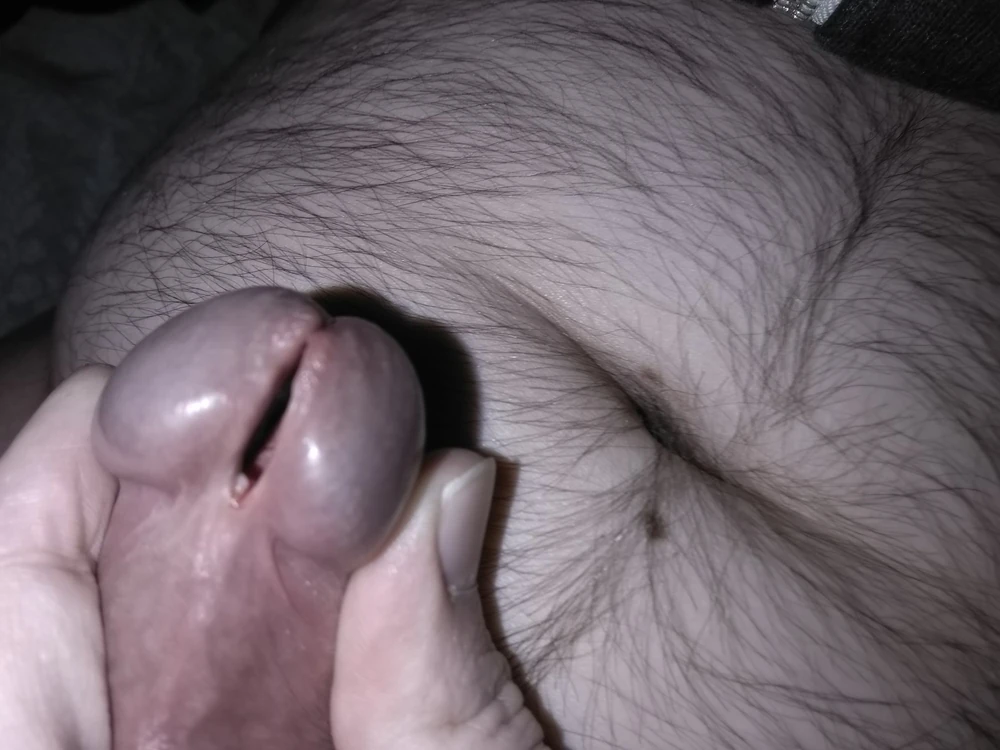cock