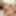 Riina Okamoto :: She reveals her true identity in bed - CARI