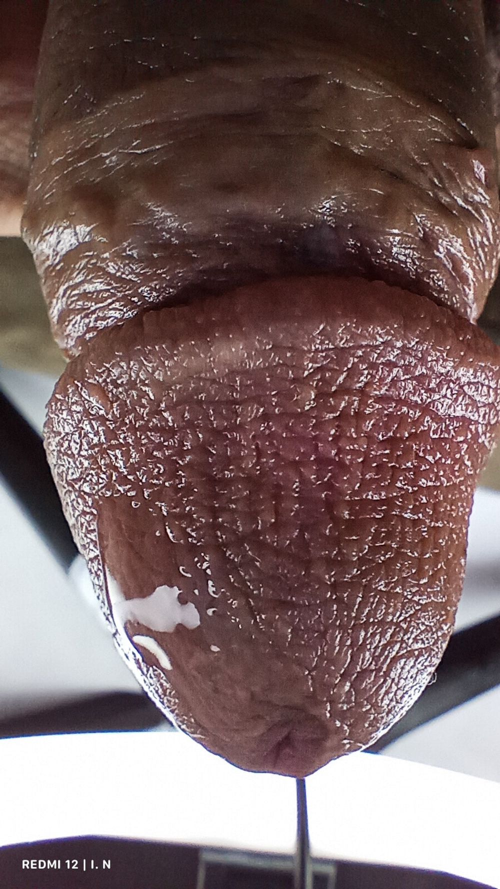 Macro Dick #11