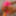 VERY UNUSUAL MOUSE NOSE NIPPLES GIRL GOT GIFT - KILO OF 🧀C #32
