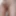 New cock images 1 #5