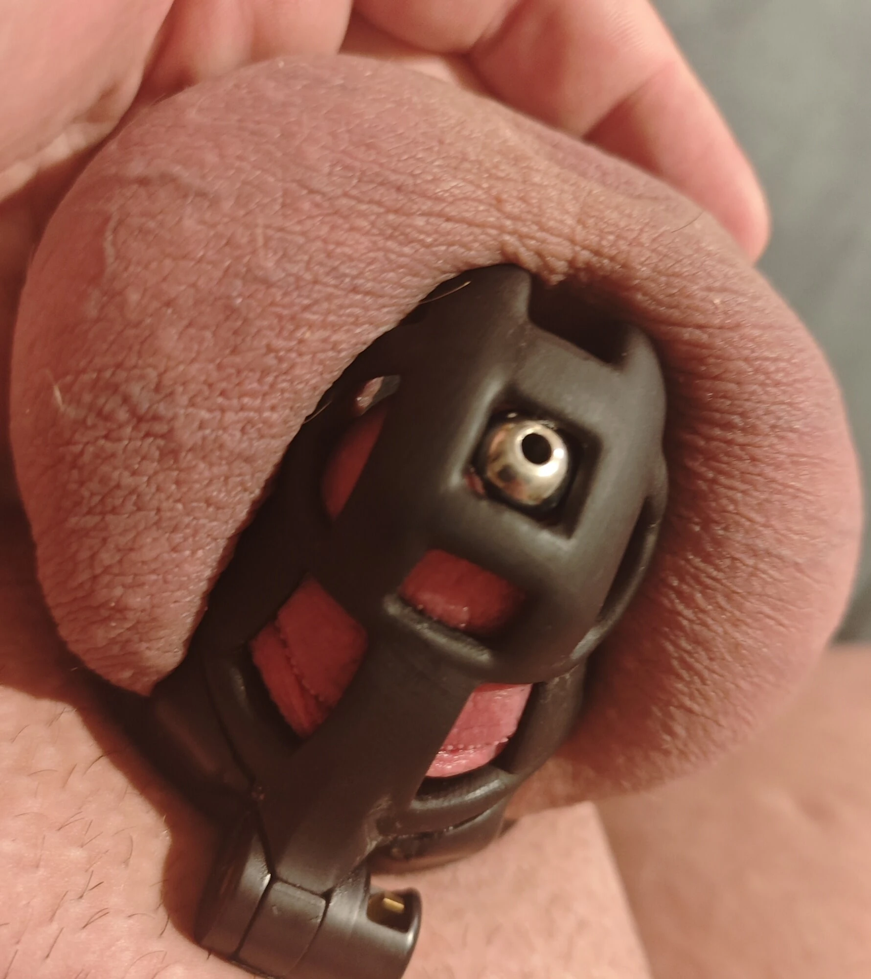 New Cage + Dilator