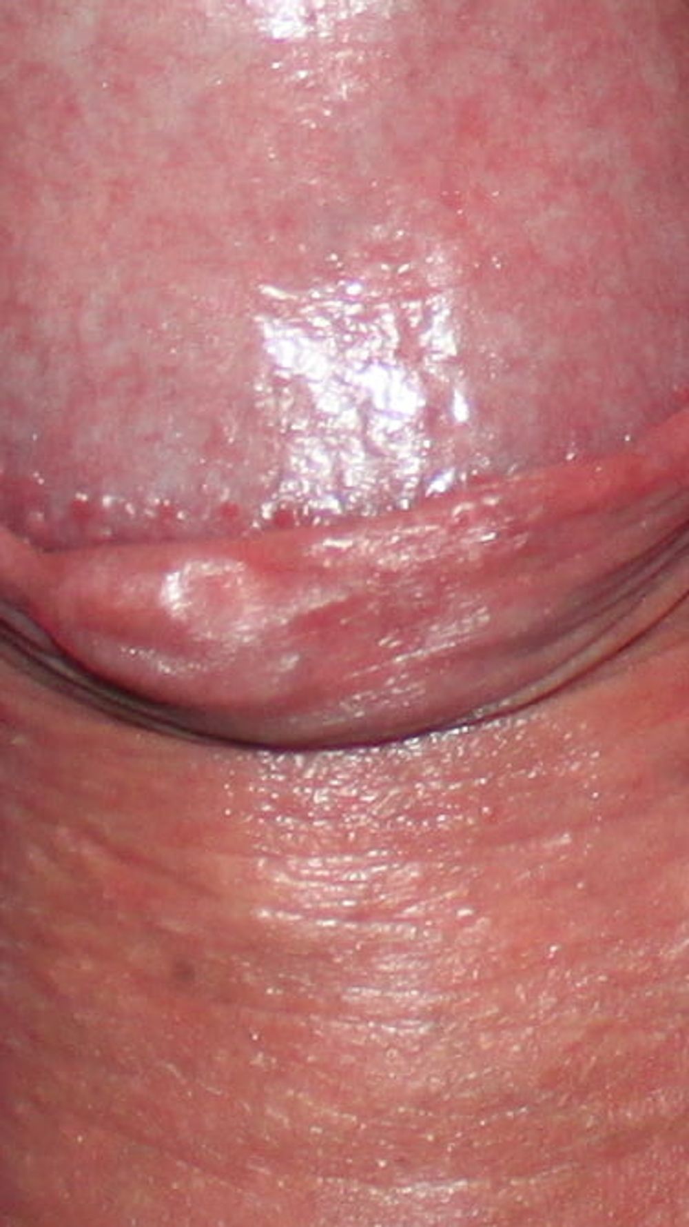 Close up dick #16