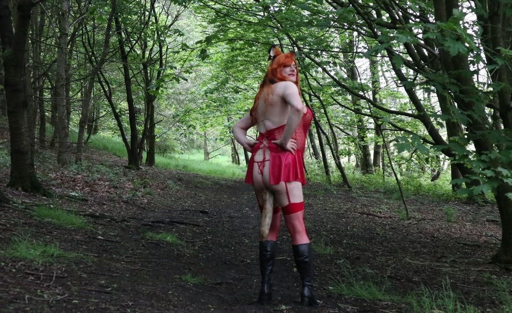 Would you like to hunt and catch this naughty little fox? #11