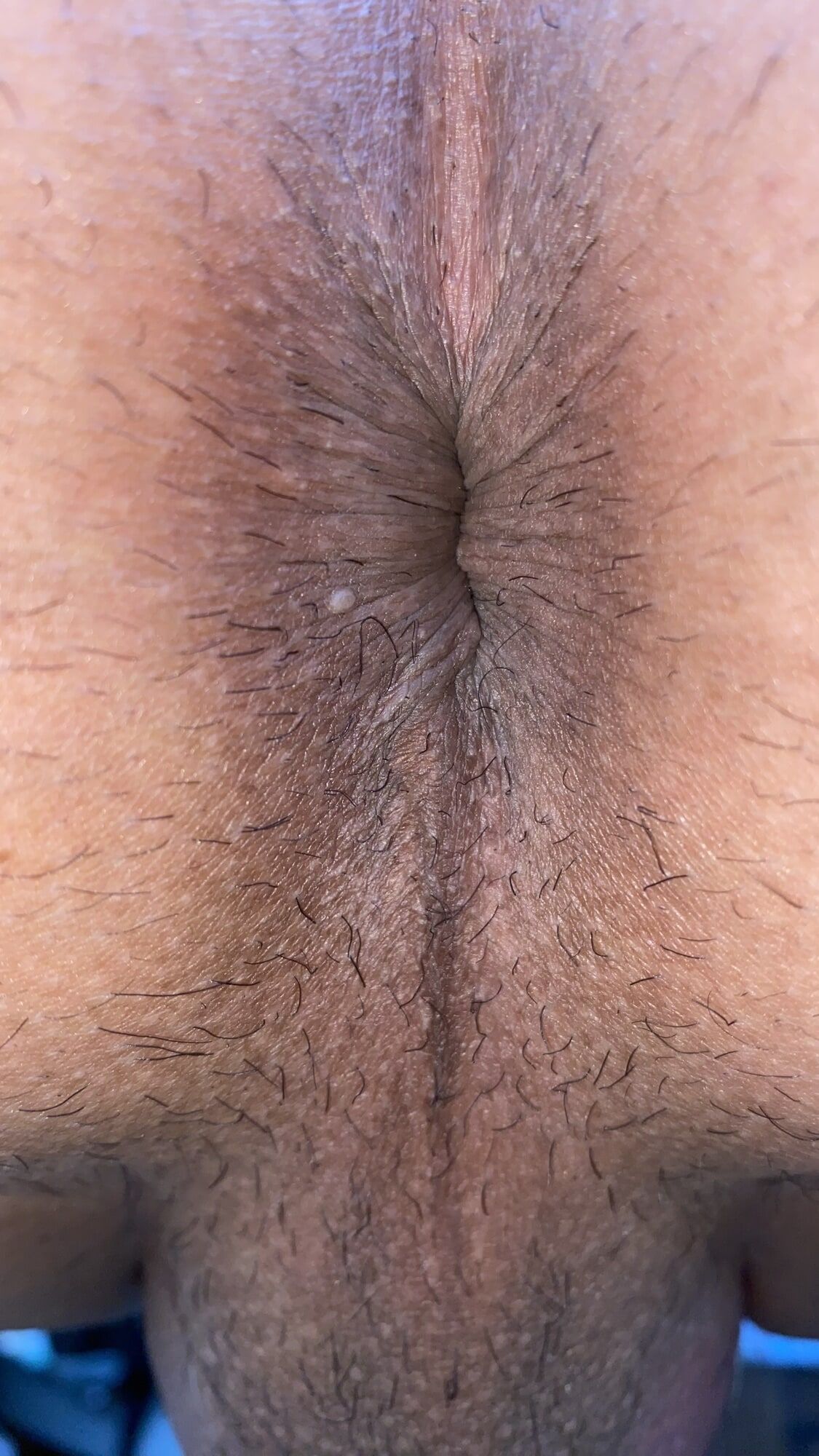 Close-up of a man's anus #58