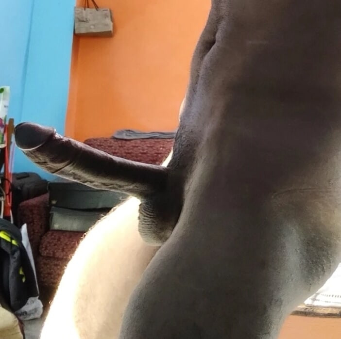 Monster Indian cock #3