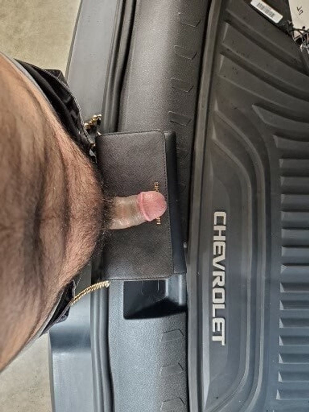 PENIS ON PURSE