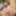 Shino Aoi :: The Prey waitress - CARIBBEANCOM