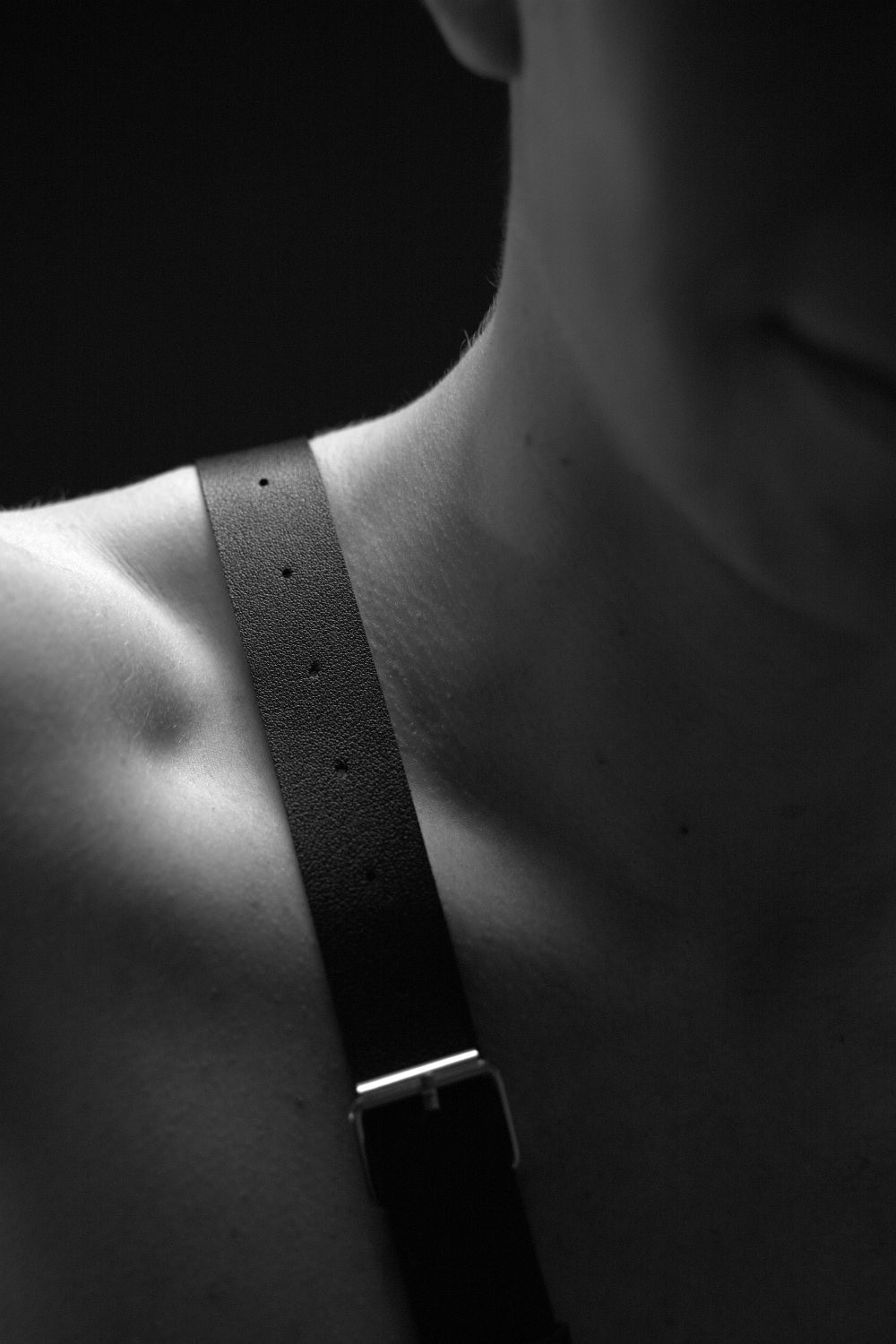 Leather and harness #6