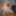 Tygra good dildo session #43