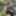 One Day with Andres ZP #8