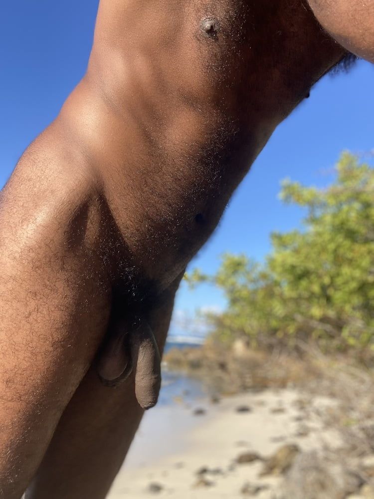 Hairy Beach Dick 