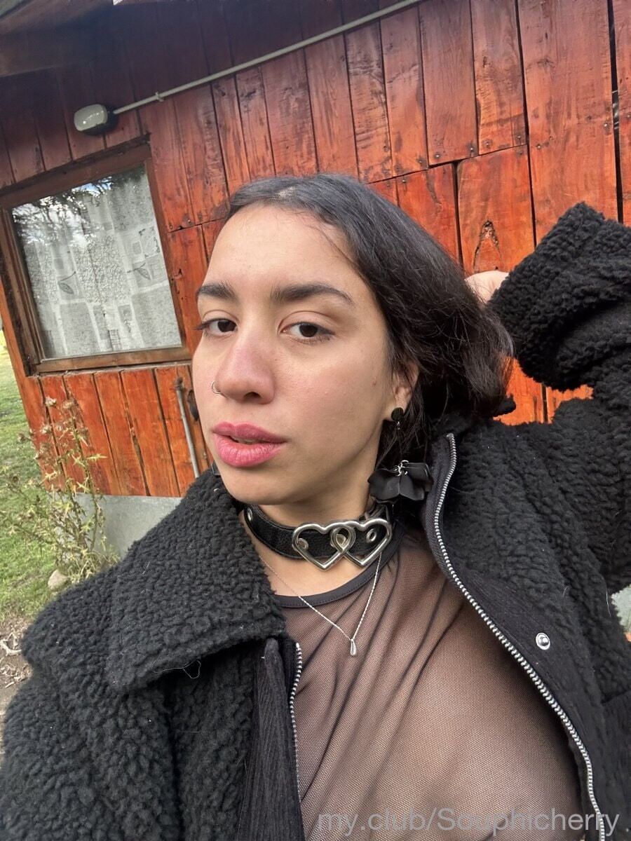 Souphicherry  Free Photos