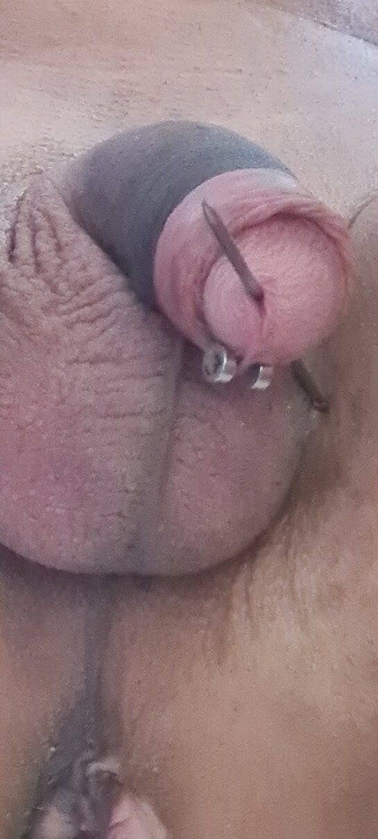pierced cock #3