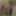 Annadevot - Enjoy my cunt in close-up #6