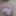 Die nackte fette sissy hat einen engen NUB um Ihre clitty