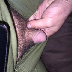 Penis