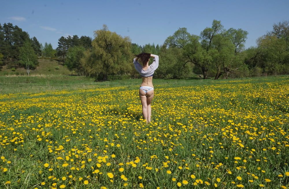 Yellow Meadow #10