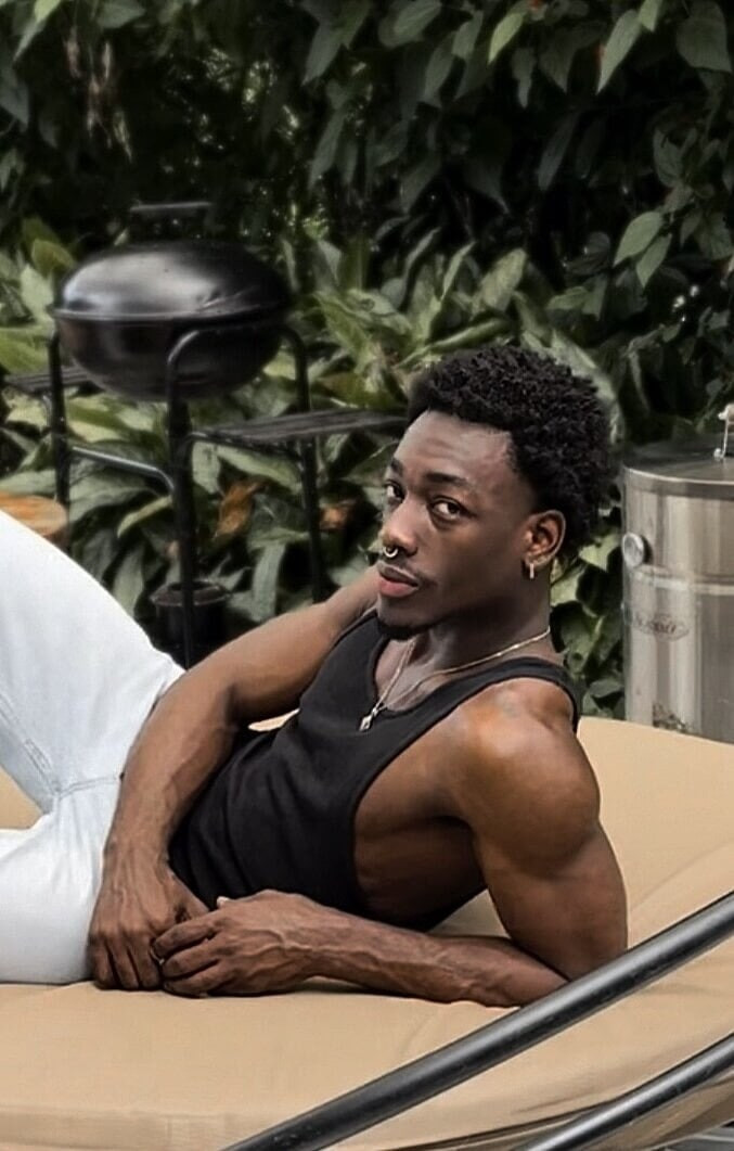 Jan Stallion Free Photos #3