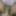Any Female want to play with my Sexy Dick in BANGALORE 