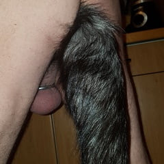 Plug anal