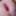 Precum Session 2.0 #3