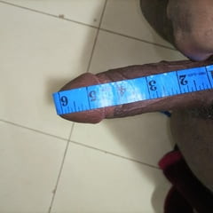 My horny cock