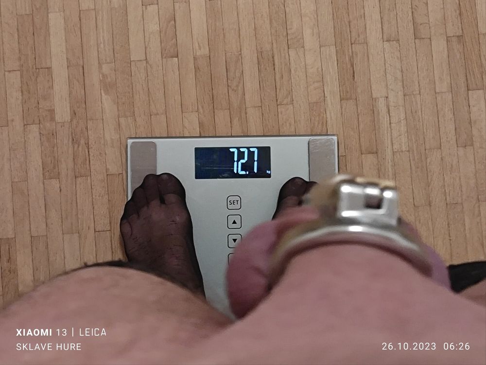 Mandatory weighing cagecheck plugcheck Oktober 26, 2023 #28