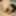 Asian babe sucks until I cum for her #38