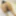 Egypt hot maid anal fuck