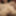 Lily Leigh's Intimate Playtime #6 (Part 2 of 2) #2