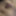 핑크 끈으로 휴식