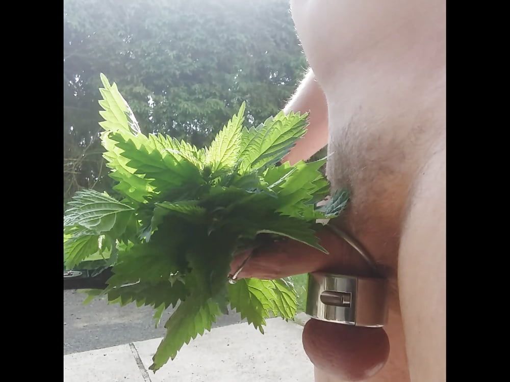 Nettles for my Cock #7