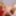 Siri and Summer Brielle are blonde lesbians with huge boobs. #13