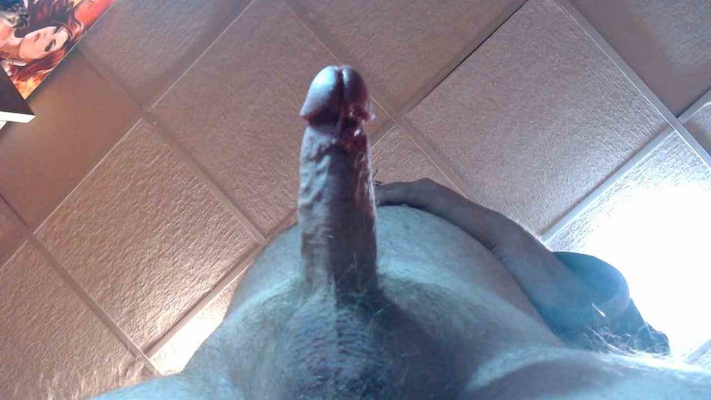 My Cock #19
