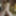 Shino Aoi :: Sexual Dream Comes True 2019 - CARIBBEANCOM #24