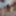 GIFs gallery scenes 146-150 #13