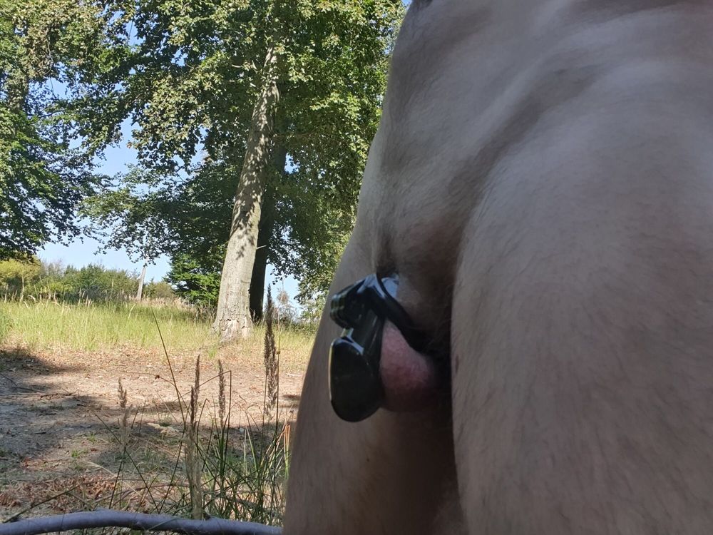 Naked walk with cock lock #14