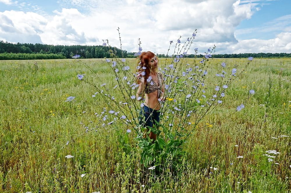 In spring Field #9