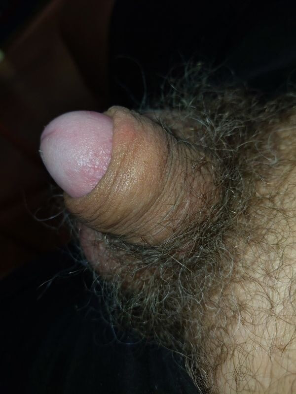 Pimmelchen  #2