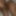 Close ups #6