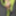 Green Mesh Lingerie #11