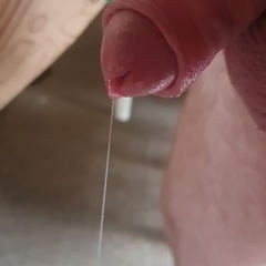 Cock