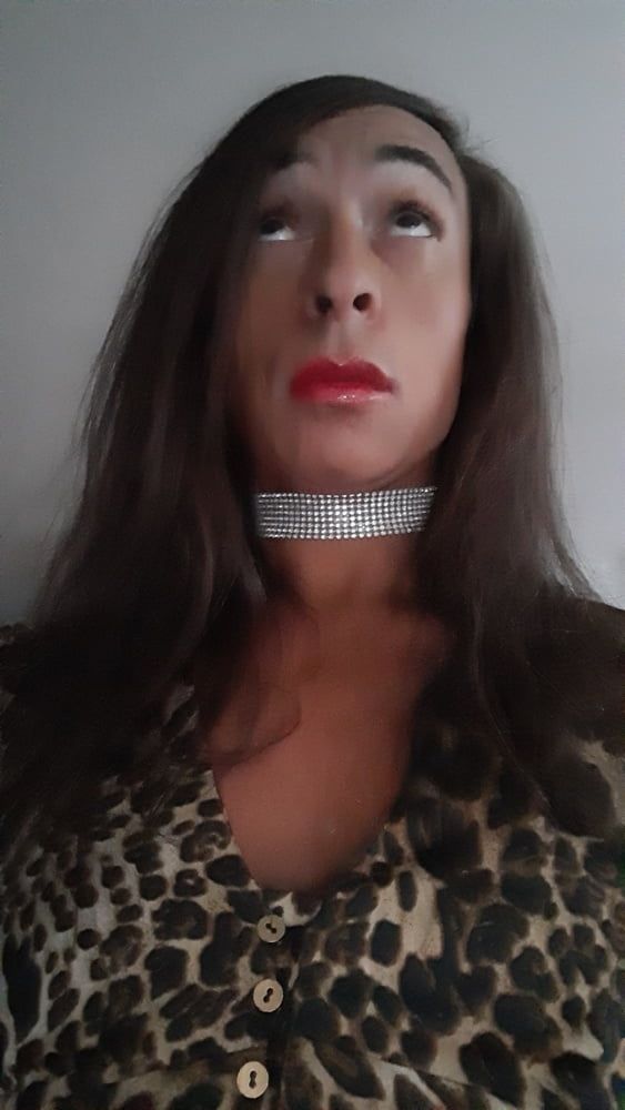 Sissy Tygra in leopard dress on 2019 octobre. #13
